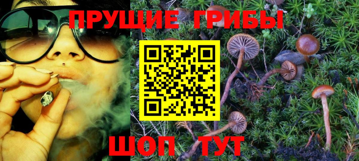 Галлюциногенные грибы прущие грибы Сегежа