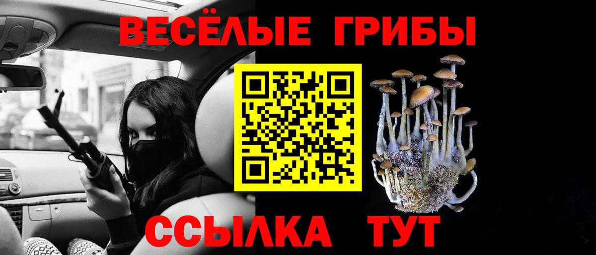 Сегежа  Галлюциногенные грибы мухоморы  Вход с VPN 